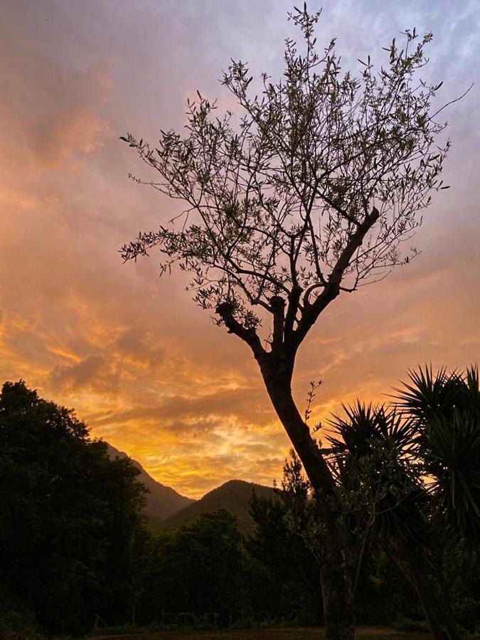 Agriturismo Colle Maiano Vietri Dış mekan fotoğraf