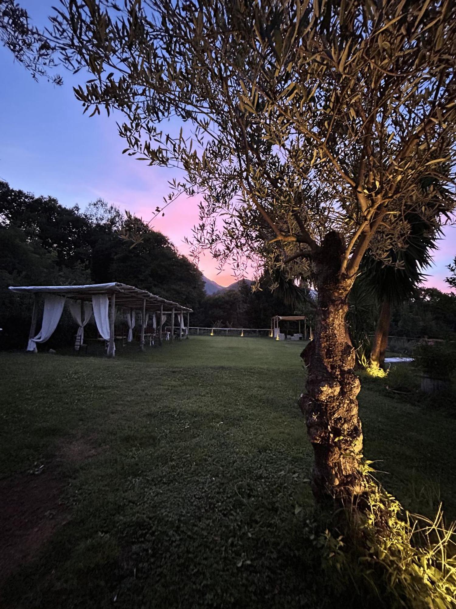 Agriturismo Colle Maiano Vietri Dış mekan fotoğraf